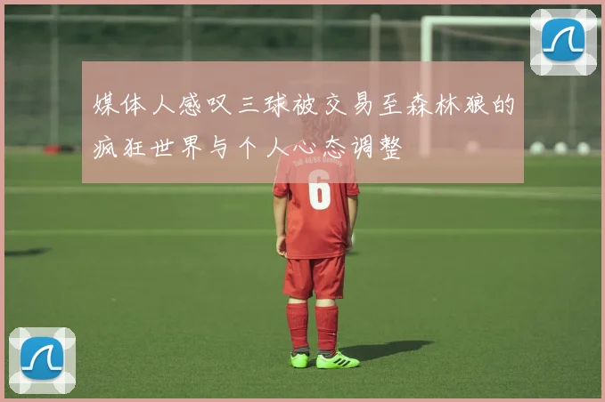 媒体人感叹三球被交易至森林狼的疯狂世界与个人心态调整